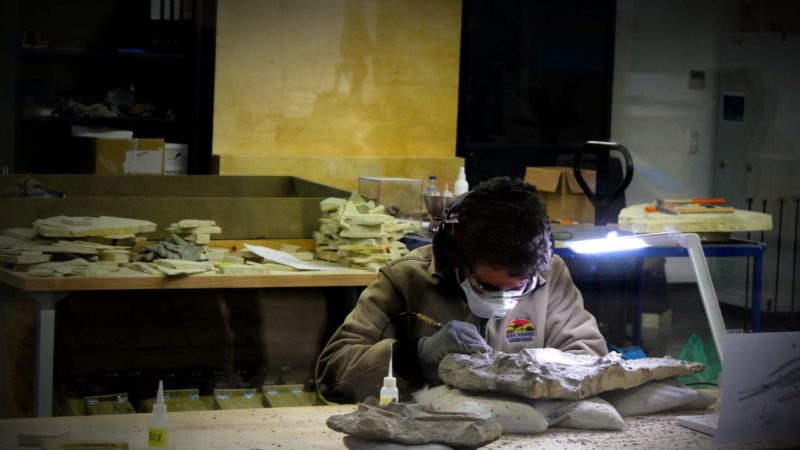 30 Great History Research Paper Topics